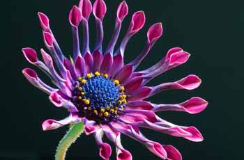 免费ddos平台攻击