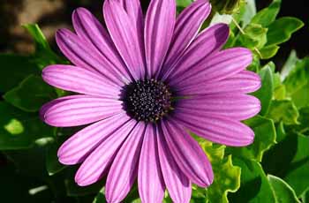 免费ddos平台攻击