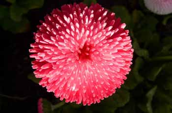 ip攻击器网页版ddos