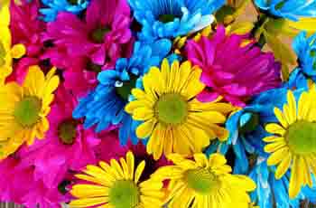 正规的代充平台推荐的网站攻击工具手机版